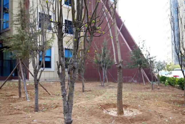 1719191968116450.png image.png